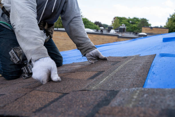 Professional Roofing Contractor in Imlay City, MI