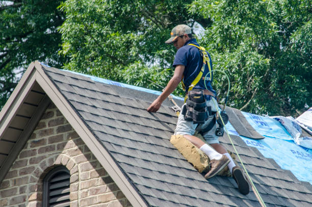 Best Commercial Roofing Services  in Imlay City, MI